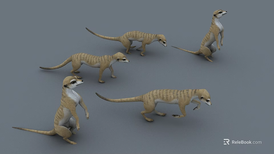 Meerkats In Various Poses Standing Walking With Brown Yellow Stripes On Grey Background 3d model 