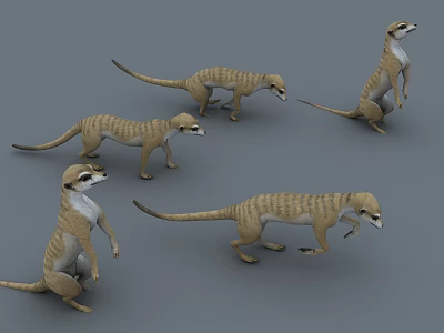Meerkats In Various Poses Standing Walking With Brown Yellow Stripes On Grey Background 3d model