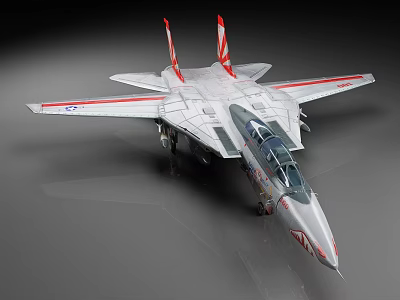 f14 fighter Tomcat fighter US fighter 3d model