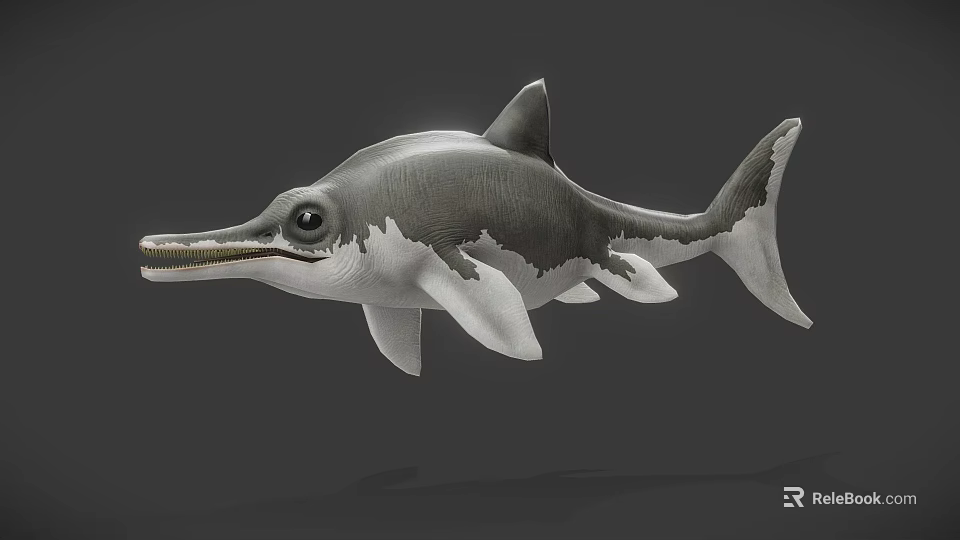 Realistic 3D Model of Aquatic Reptile With Long Snout Flippers and Gray White Coloration 3d model 