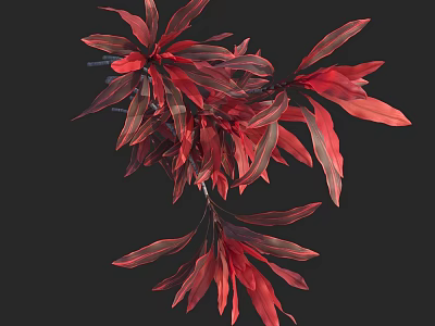 Vibrant Tree With Red And Dark Red Long Elongated Shiny Leaves 3d model