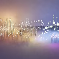 Plant Inspired Outdoor Lights Reed Dandelion Designs Soft White Pink Glow Misty Setting Gradient Purple Orange