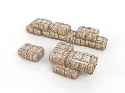 Garden Straw Bales Supporting Colorful Flowers And Green Foliage 3d model