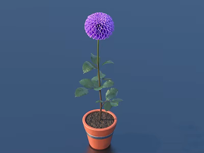 Purple Dahlia Plant with Green Leaves in Orange Terracotta Pot 3d model