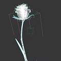 Beautiful Red Rose with Green Stem and Leaves on Gray Background