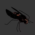 Detailed Wasp Insect With Compound Eyes Antennae And Yellow Black Stripes On Dark Background