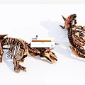 Modern skeleton dinosaur Triceratops skeleton 3d model