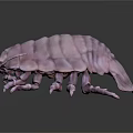 Pink Isopod With Segmented Body And Multiple Legs On Dark Background 3d model