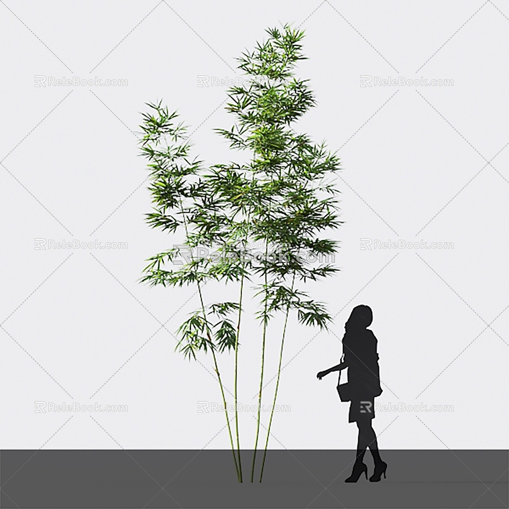 Modern bamboo mom bamboo cixiaozhu hard-headed yellow bamboo 3d model