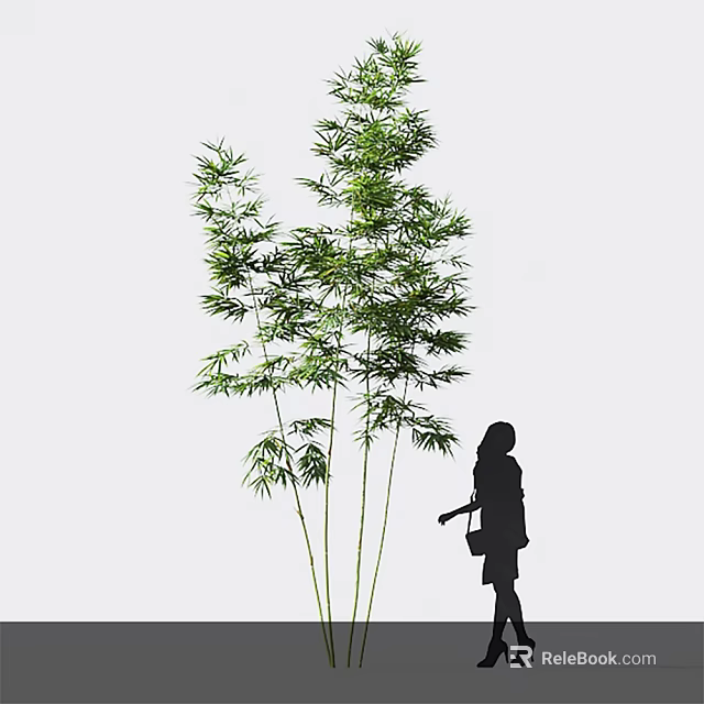 Bamboo Plants With Green Foliage And Silhouetted Figure 3d model 