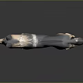 Stylized Low Poly 3D Wolf Model With Gray Beige Fur Standing Pose