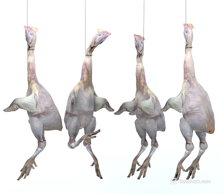Four Raw Chicken Carcasses Hanging Fresh Poultry Meat 3d model 