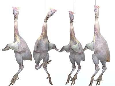Four Raw Chicken Carcasses Hanging Fresh Poultry Meat 3d model