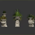 Green Plants in Various Decorative Planters with Different Designs and Heights on Dark Reflective Surface