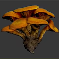 Modern mushroom straw mushroom poisonous mushroom plant 3d model