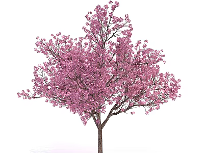 Vibrant Arbor With Pink Blossoms And Lush Branches In Full Bloom 3d model