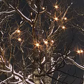 Snow Covered Arbor Tree With Twinkling Lights On Dark Sky Backdrop 3d model