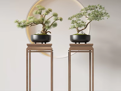 Two Bonsai Plants On Wooden Stands With Round Mirror In Minimalist Interior 3d model