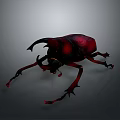 Striking Red Beetle With Large Curved Horns On Dark Background 3d model