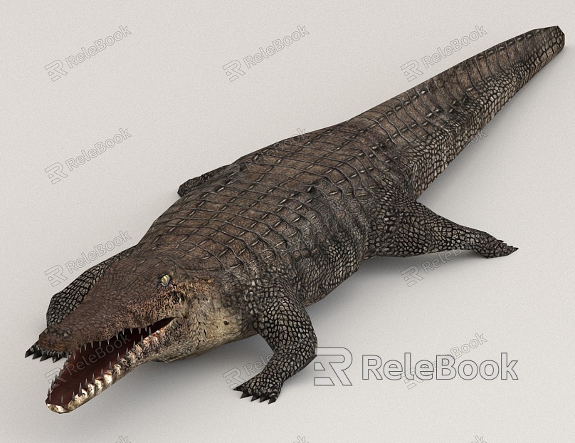 Crocodile Beast model