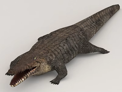 3D Rendered Aquatic Animal Crocodile With Open Mouth Scaly Skin On Gray Background 3d model