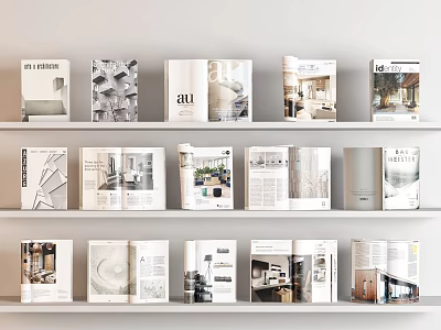 Stylish Decorative Magazine Collection on Multiple Shelves for Interior Design 3d model