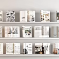Stylish Decorative Magazine Collection on Multiple Shelves for Interior Design 3d model