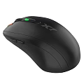 Mouse 3d model