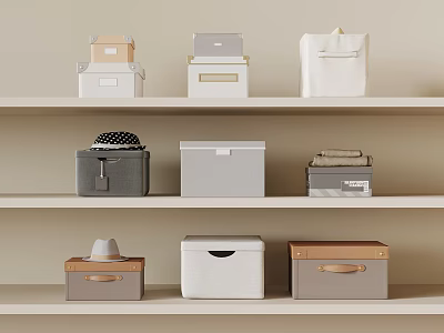 Various Colored Storage Boxes And Bags Neatly Arranged On Light Three Tiered Shelves 3d model