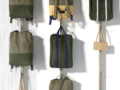 Stylish Canvas Bags Collection With Multiple Colors And Hanging Display On Wooden Hooks 3d model