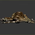 Gecko flying gecko large gecko multiple warts gecko webbed gecko webbed toed gecko reptile 3d model
