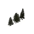 Decorative Pine Tree Ornament Set With Various Heights For Home Decor
