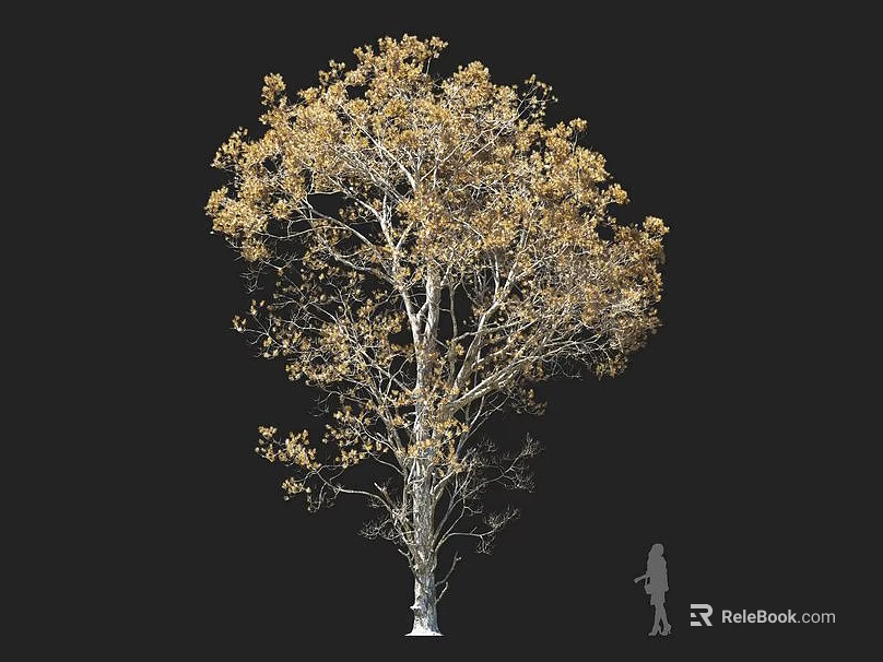 Tall Arbor with Golden Foliage and Human Silhouette for Scale 3d model 