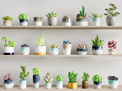 Potted Bonsai Cacti and Succulent Plants on Multiple Shelves with Colorful Shaped Pots 3d model