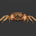 Brown Crab With Orange Pincers And Multiple Legs Displayed On Dark Background Exhibiting Fine Texture