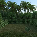 Tropical Garden Landscape With Tall Palm Trees Lush Shrubs Green Grass And Blue Sky