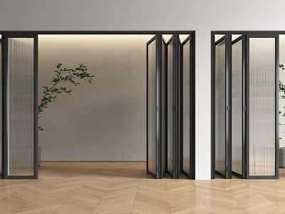 Modern Folding Doors with Black Frames Glass Panels Vertical Stripes Wooden Flooring and Green Plant 3d model