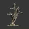 Dead Tree With Exposed Roots And Green Grass On Gray Background