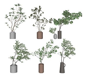 Modern vase plant ornaments 3d model