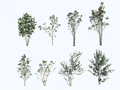 Modern Tree Landscape Small Trees 3d model Modern Tree Landscape Small Trees 3d model