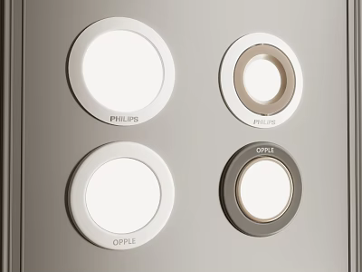 Downlight Spotlight from Philips and Opple with Round White Metal Frame on Gray Panel 3d model