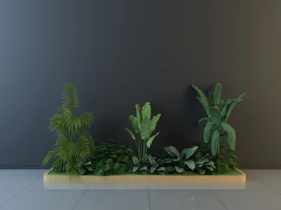 Decorative Green Shrubs And Various Plants In Light Wooden Tray Against Gray Wall 3d model