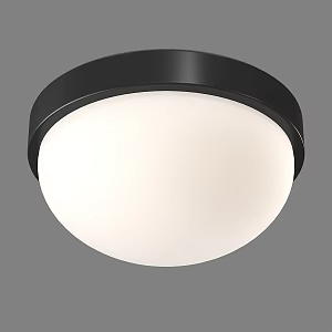 Modern minimalist ceiling lamp 3d model