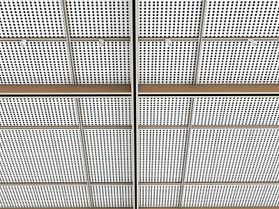 Ceiling Aluminum veneer Ceiling Perforated aluminum plate Ceiling Multi-function room Ceiling 3d model