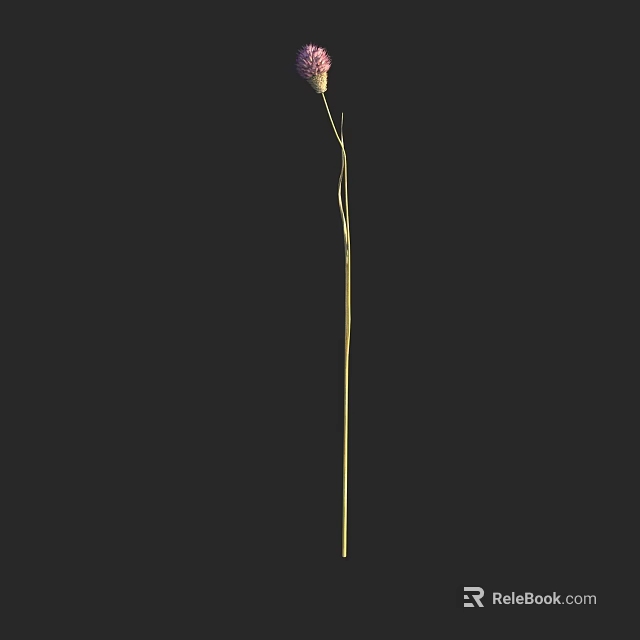 Single Golden Long Stem Flower For Vase Decoration With Black Background 3d model 