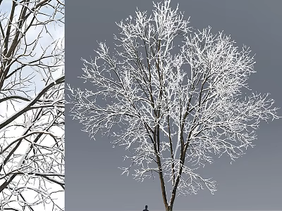 Winter Themed Decorative Ornament Set With Snow Covered Branches For Home Decoration 3d model