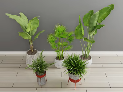 Modern potted green plant 3d model