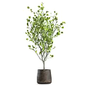 Indoor Bonsai Potted Plants With Green Leaves For Home Decor