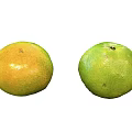 Fresh Yellow and Green Citrus Fruits Displayed on White Background