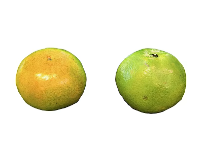 Fresh Yellow and Green Citrus Fruits Displayed on White Background 3d model